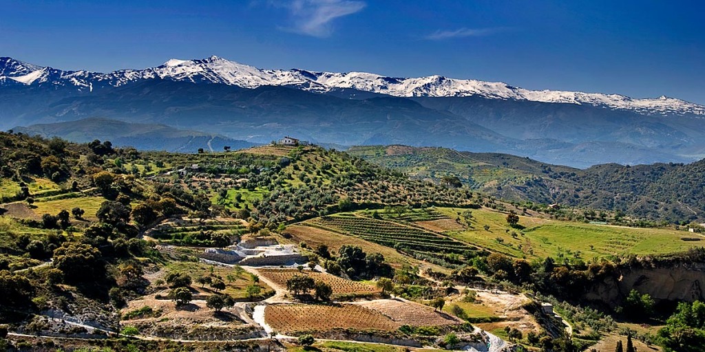 Sierra-Nevada-National-Park-Spain (1)