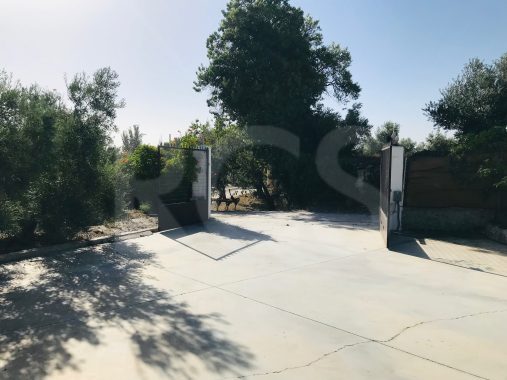 JPEG image 1