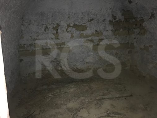 JPEG image 11