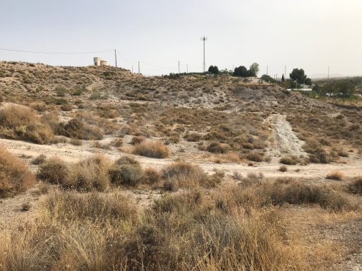 JPEG image 2