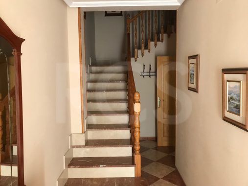 JPEG image 3