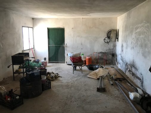 JPEG image 8