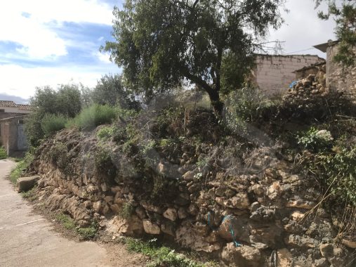 JPEG image 16