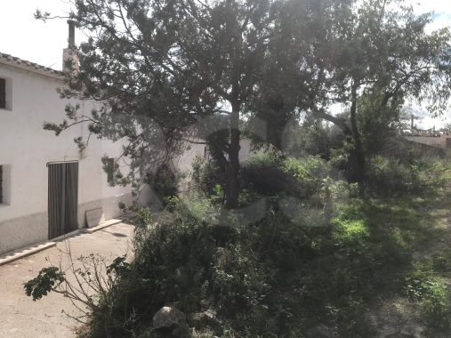 JPEG image 19
